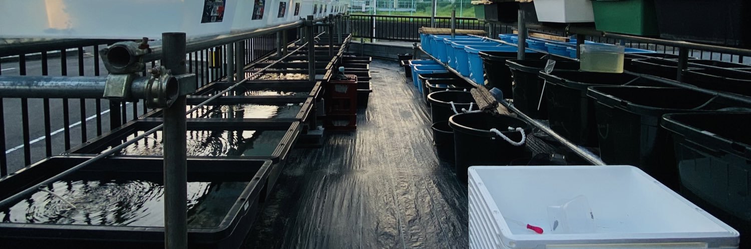 二代目アクアボーイ banner