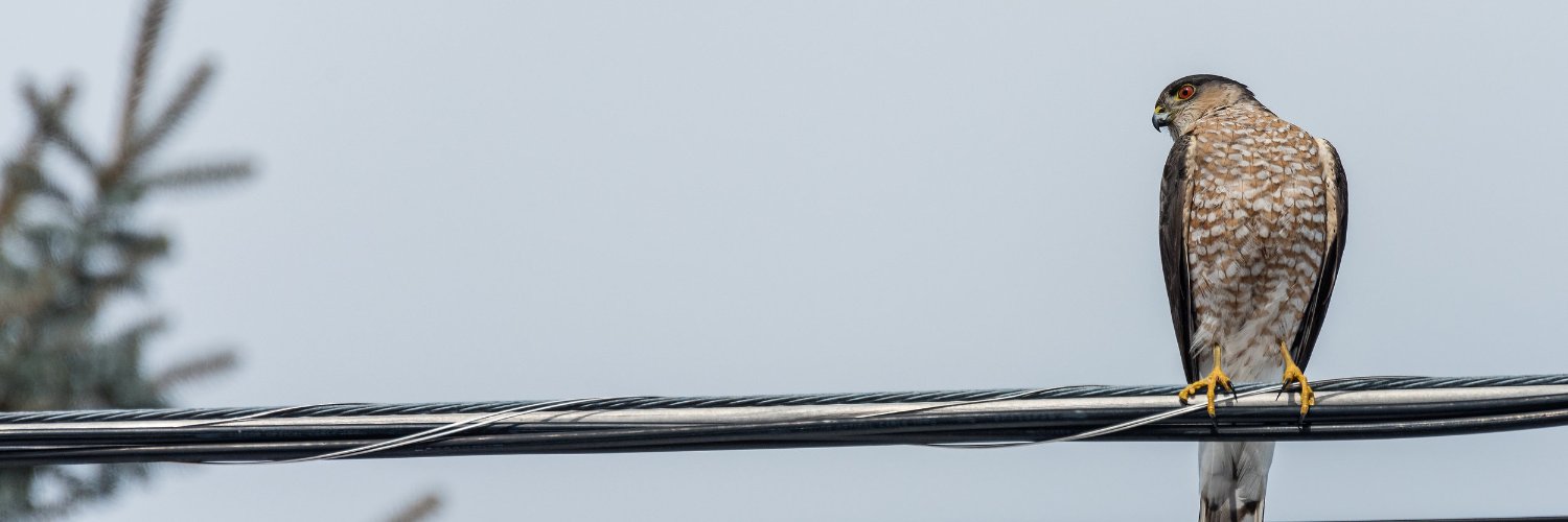zackdbolton's profile banner image