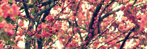 DebPeki Profile Banner