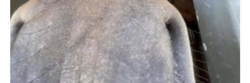 shadesonXx's profile banner image