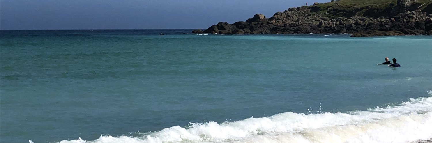 MicheleMillward's profile banner image