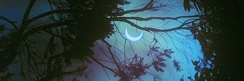 aliana288's profile banner image