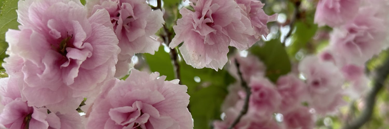 a_t_3_9's profile banner image