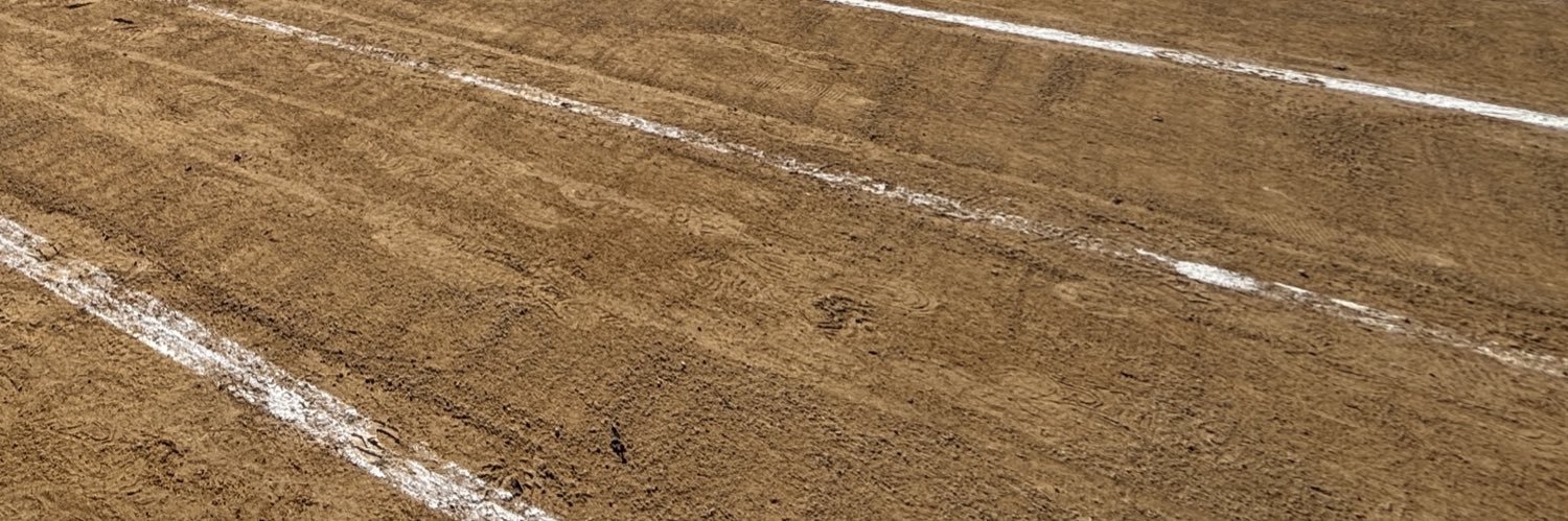 やす@頑張りを実らせる全力サポーター banner