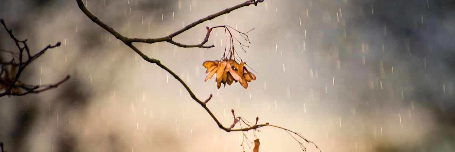3dweather's profile banner image