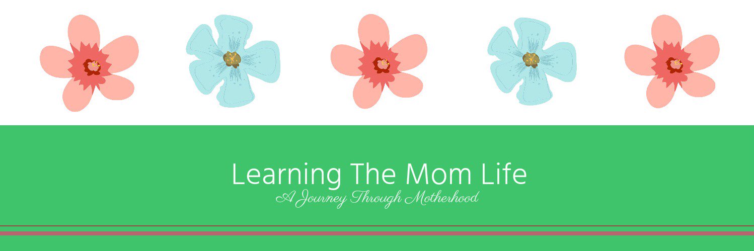 learnthemomlife's profile banner image