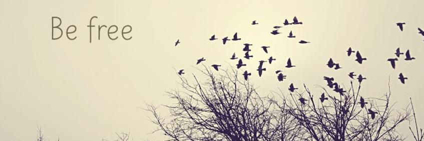 margis_cc's profile banner image