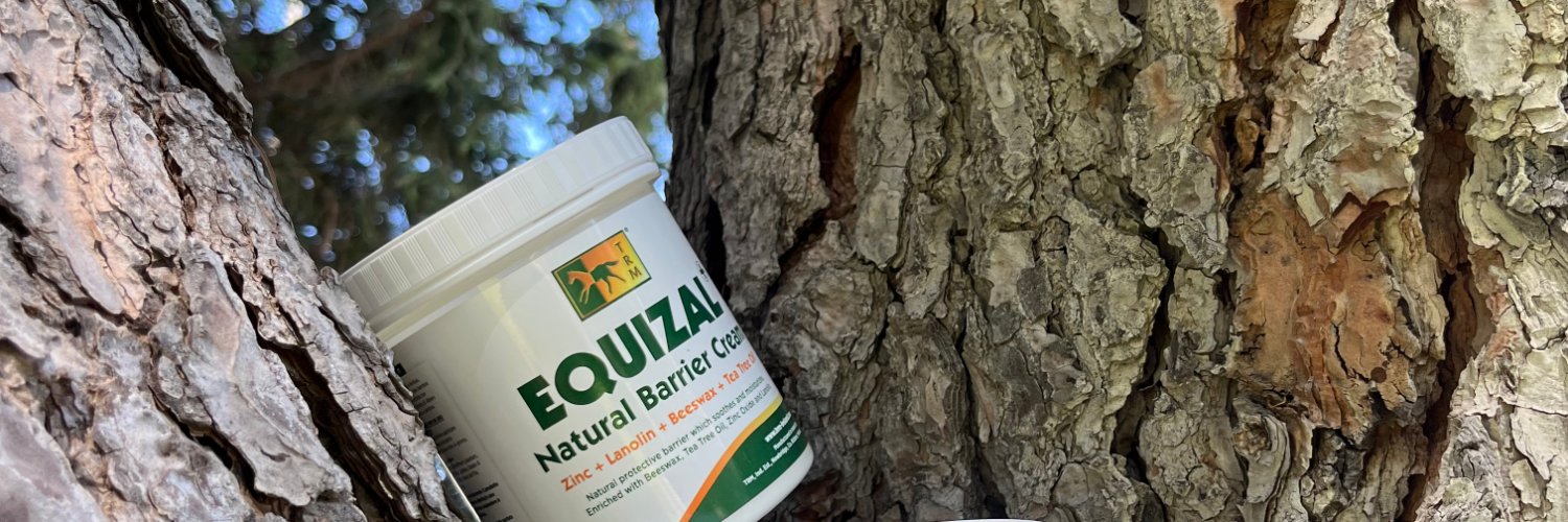 EquinvestES's profile banner image