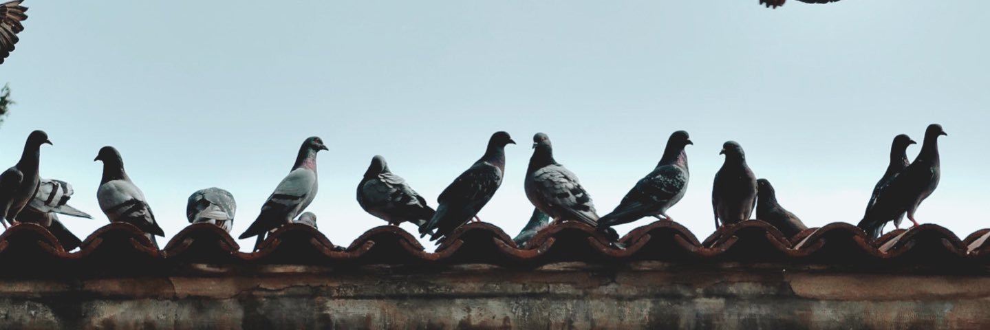 fatmaakbaba12's profile banner image