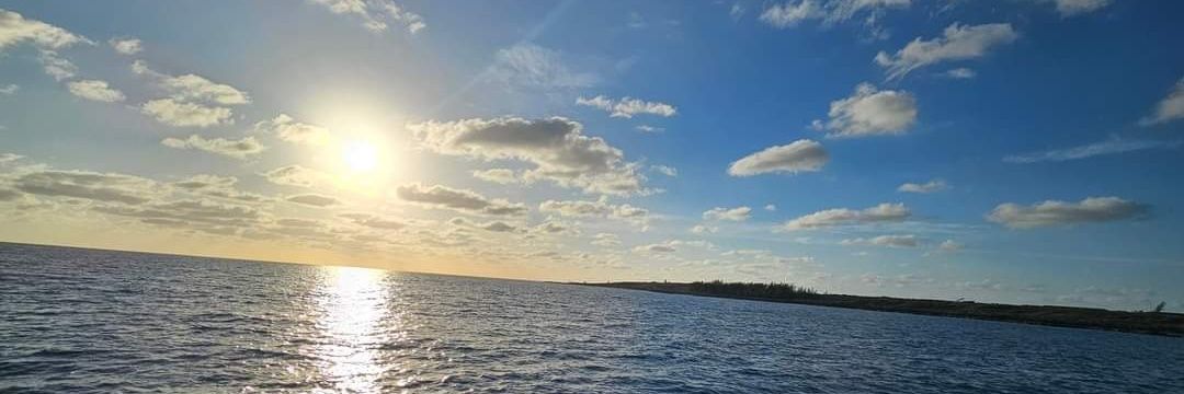 Sillinork's profile banner image