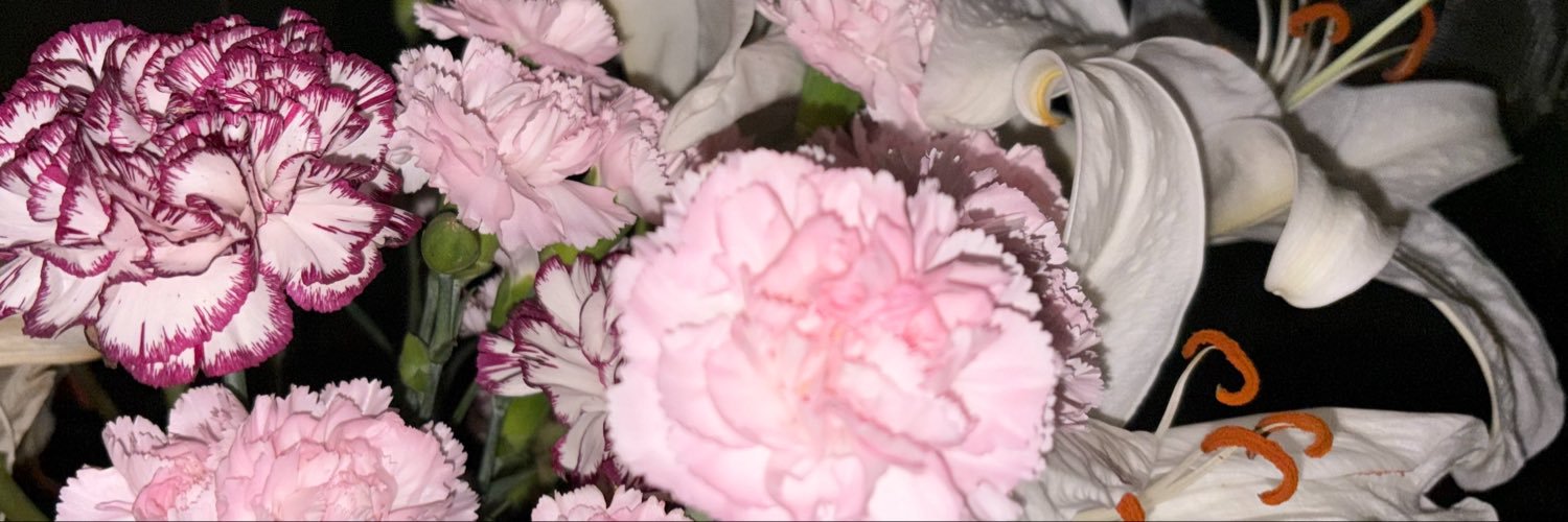 ripxles's profile banner image