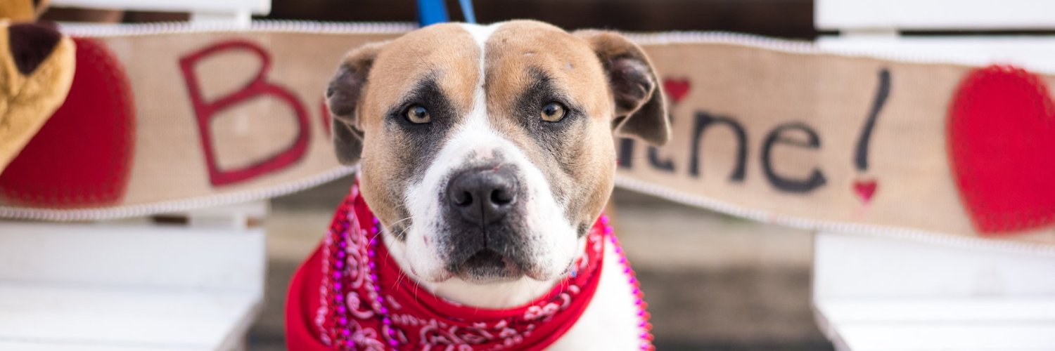 FresnoHumane's profile banner image