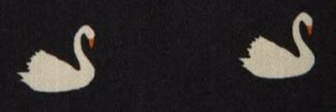 thafagundes12's profile banner image