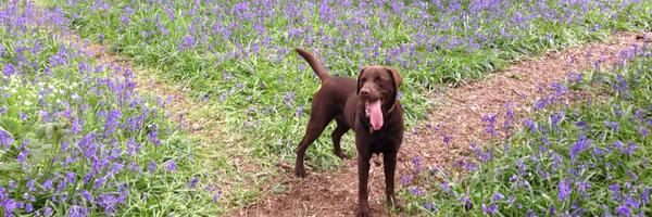 JessicaMABlair Profile Banner