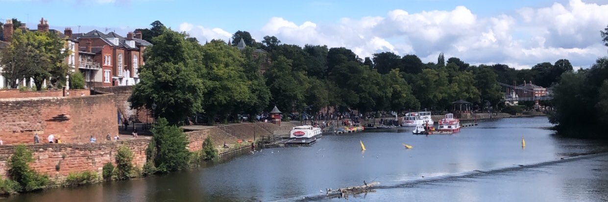 Doorsteps of Handbridge banner