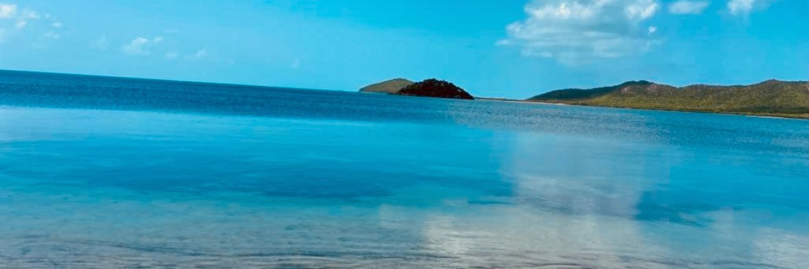 macernyte's profile banner image