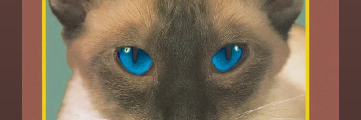 BalboaPojo's profile banner image