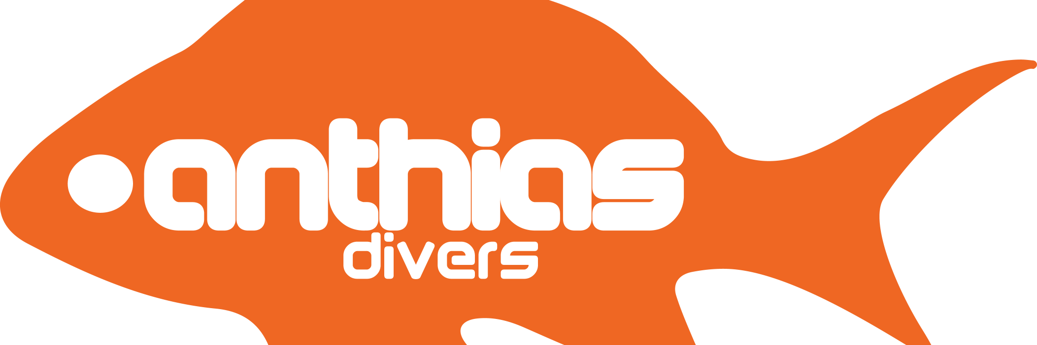 Anthias_Divers's profile banner image