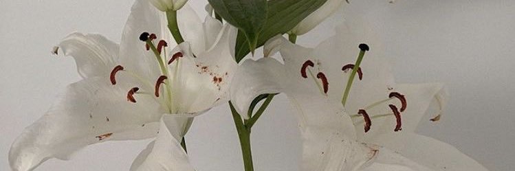 beyondtheboys's profile banner image