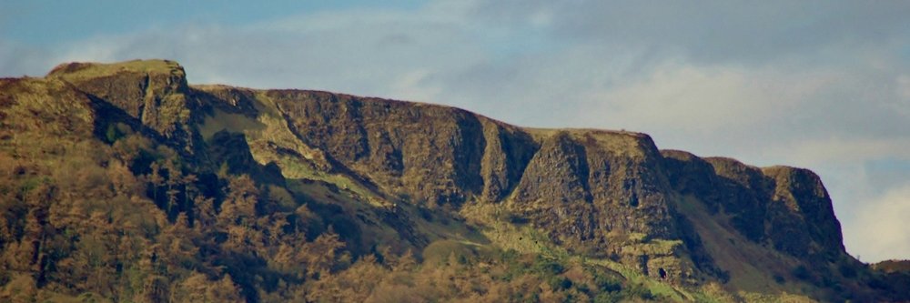SARGENSTEIN's profile banner image