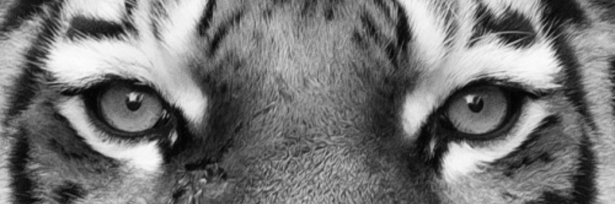emilyneall's profile banner image