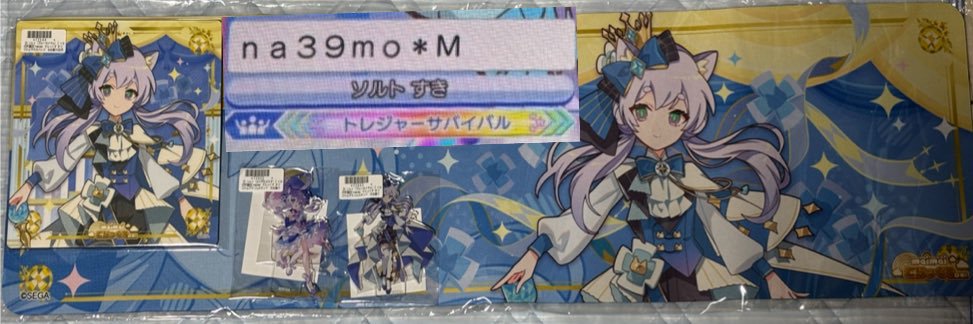 野生のなみくも banner