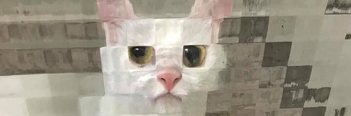 amandabmil's profile banner image