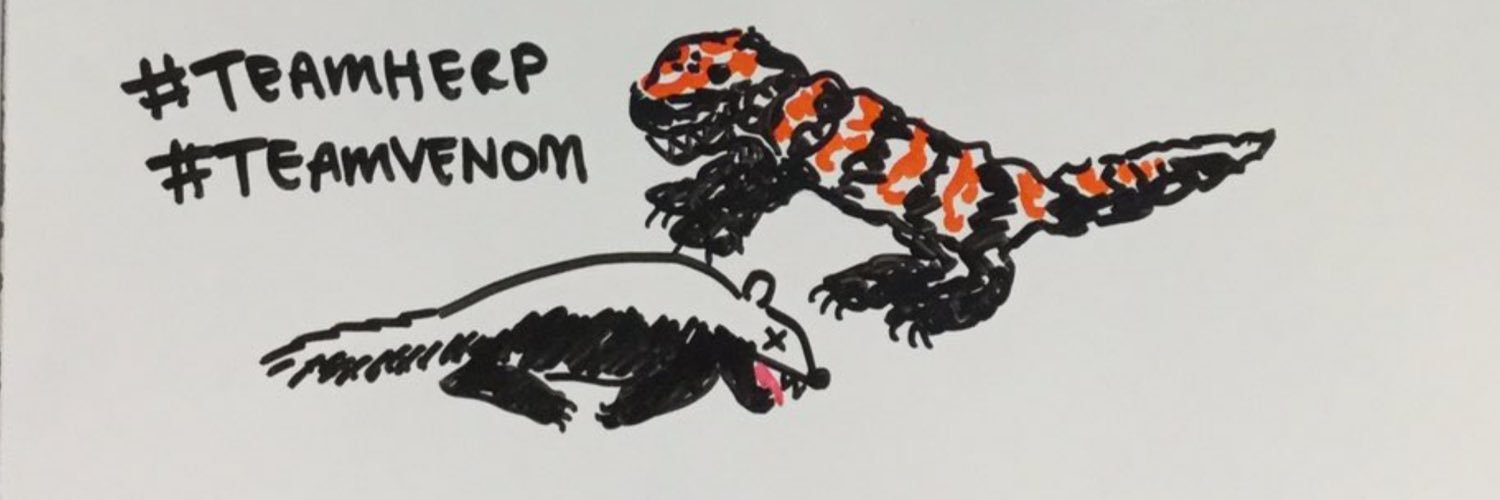 gilamonsterasu's profile banner image