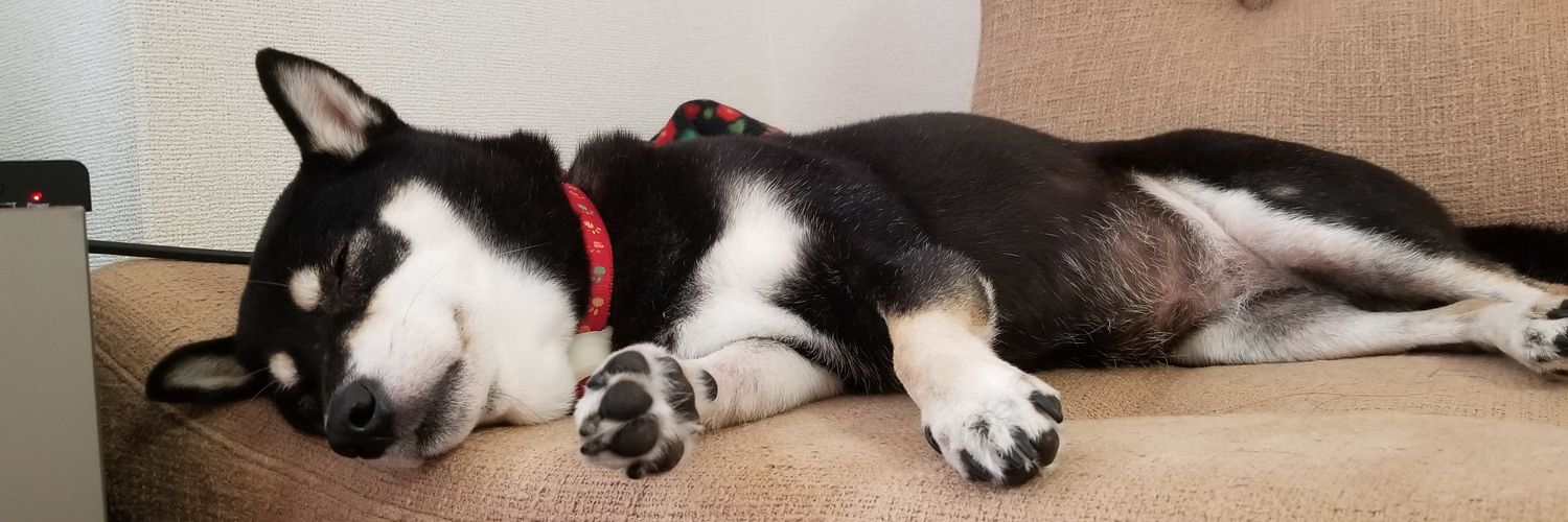 polinomii's profile banner image