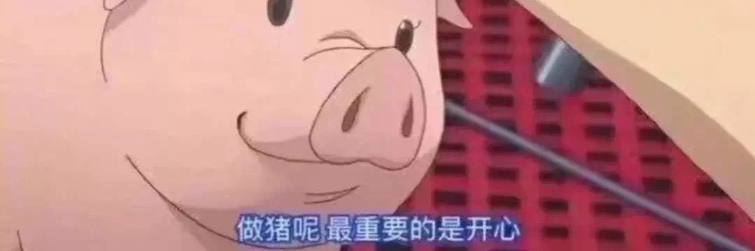 Chriamsticalhog's profile banner image