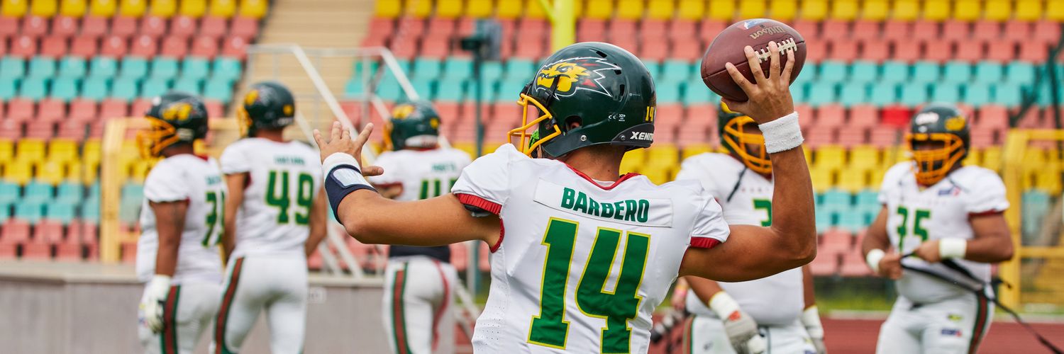 sergiobarbero7's profile banner image