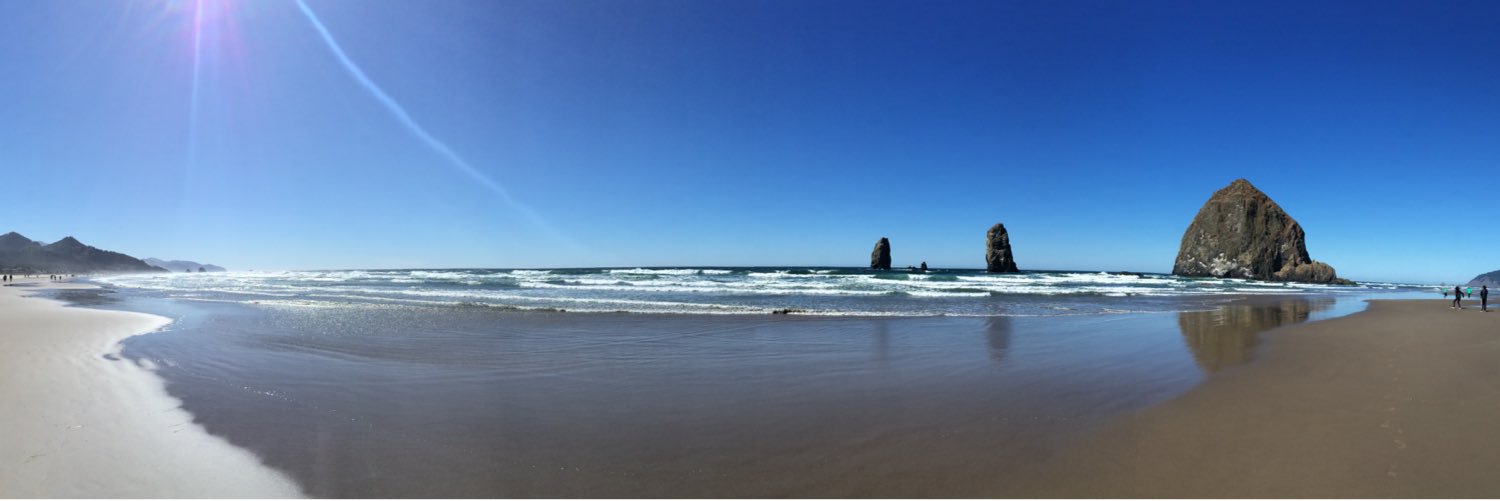 Steffi Dobmeier banner