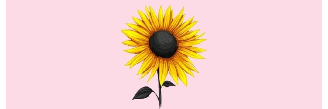 sandrinha474's profile banner image