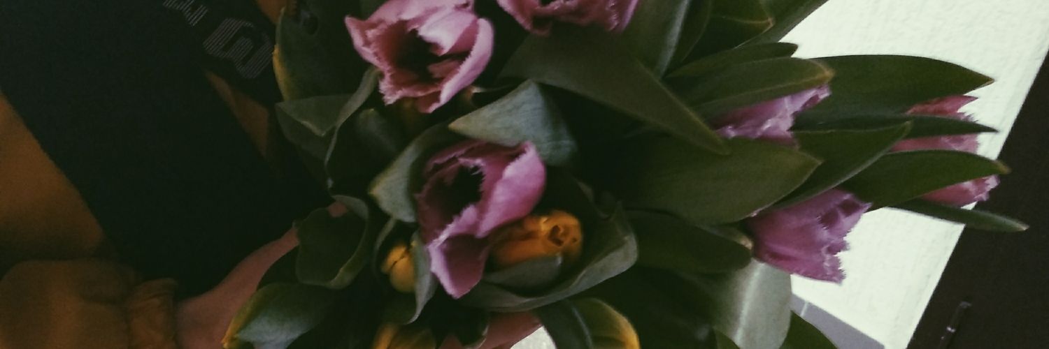 manka____'s profile banner image