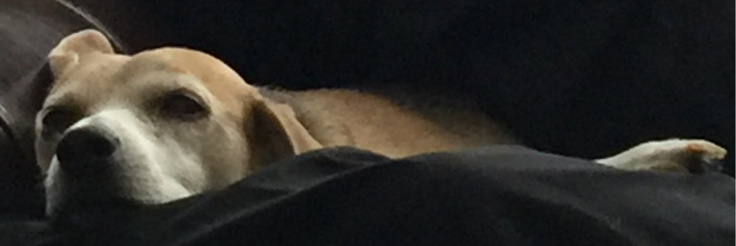 TweetenLon's profile banner image