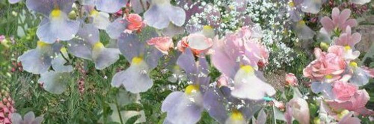 AFarigo's profile banner image
