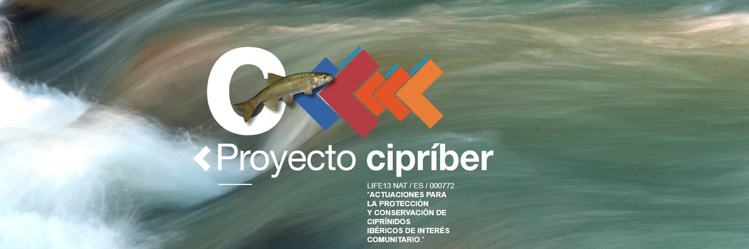 LIFEcipriber's profile banner image