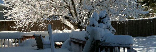 Reelviews Profile Banner