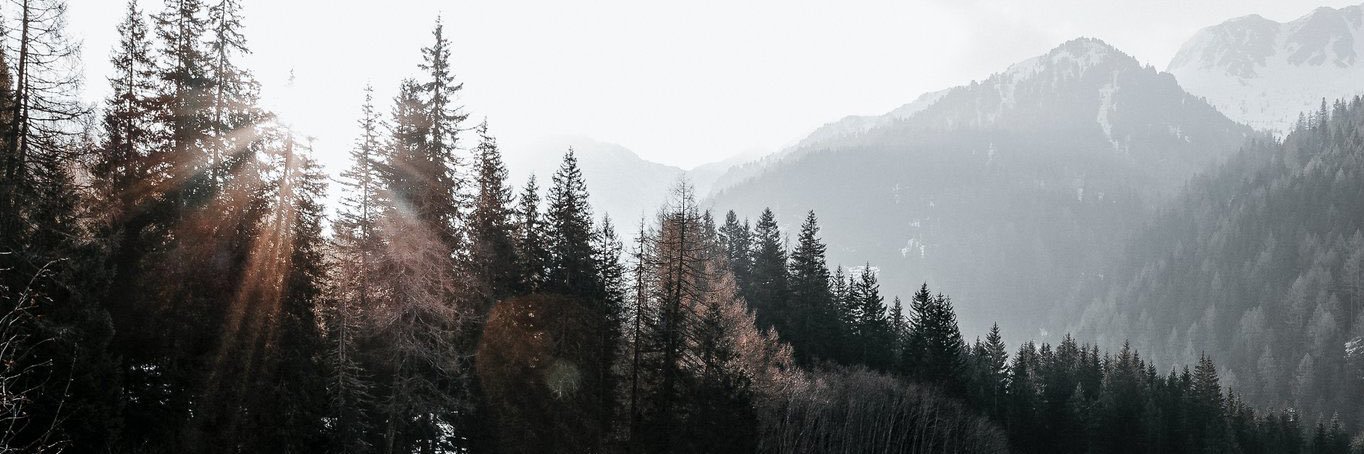 عبدالله ABDULLAH🇸🇦 banner