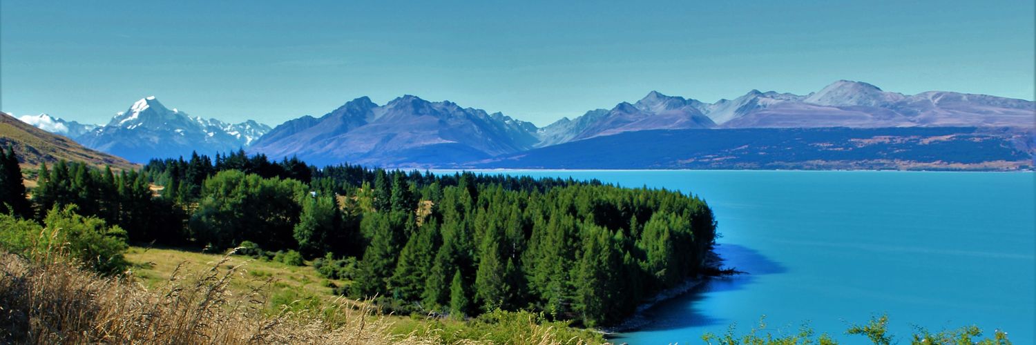 Michal Ursiny, MD banner