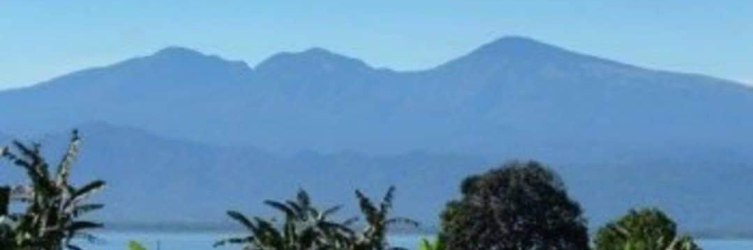 Rommel Romato banner