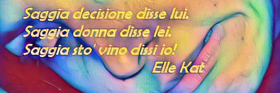 ElleKat72's profile banner image