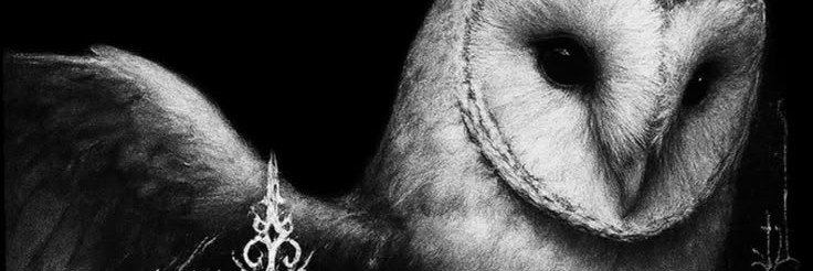 chinaski013's profile banner image