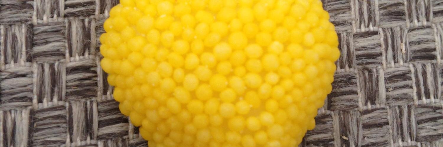 palomagm89's profile banner image