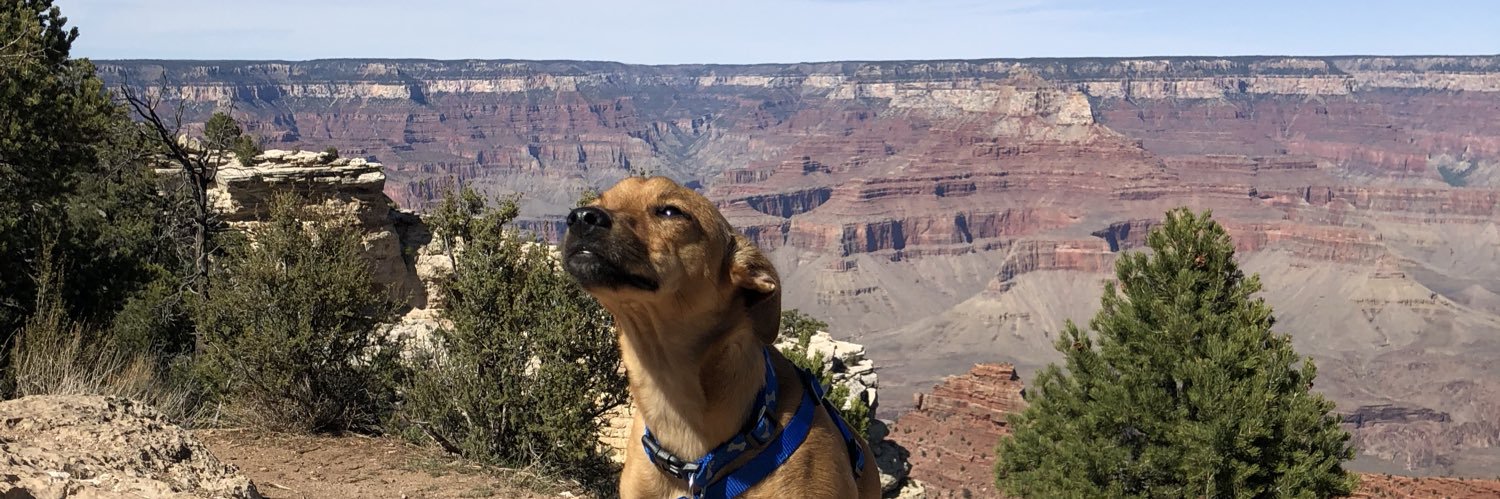 Eppsauce's profile banner image