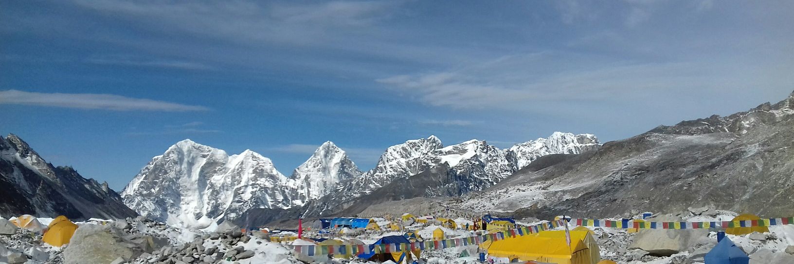 Rosa M. Bosch banner