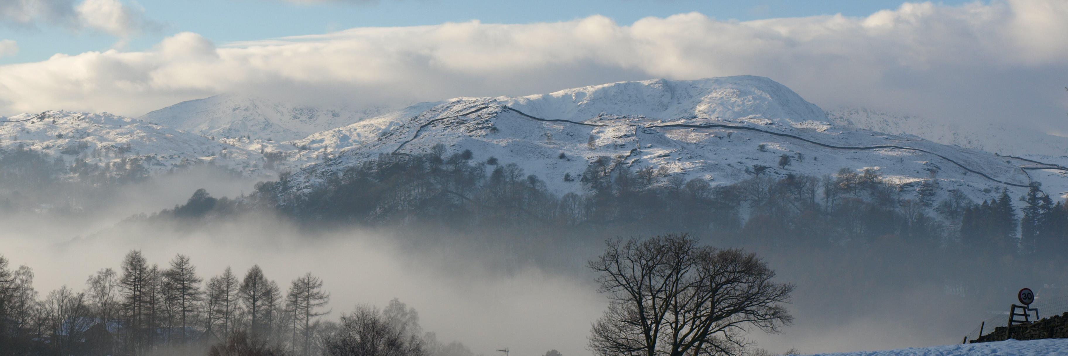 Harry Gaskell banner