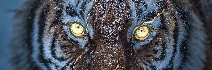 maruecok's profile banner image