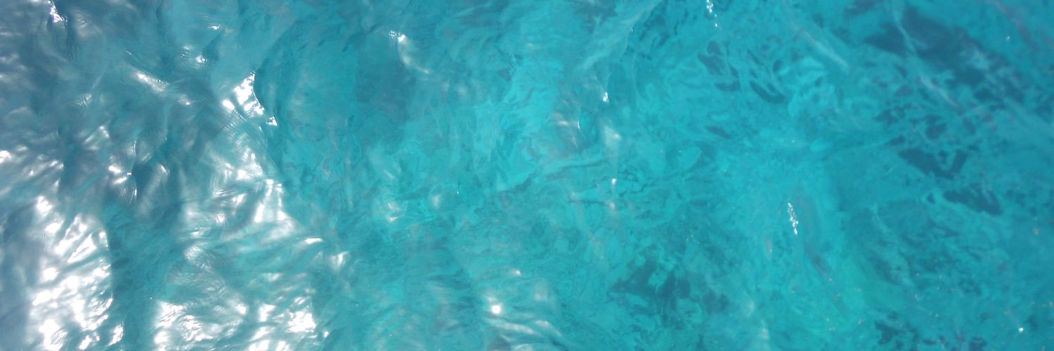 ssaraandersson's profile banner image
