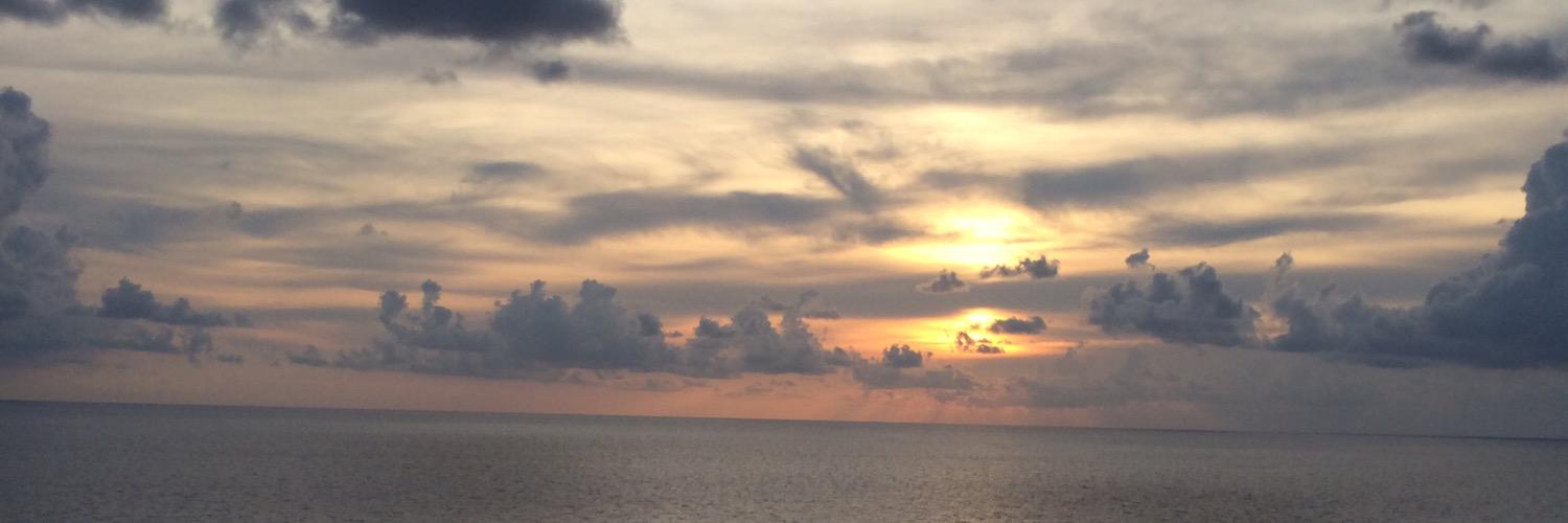 DrLPatt's profile banner image